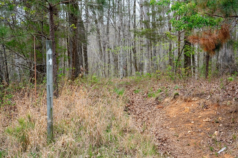 Natchez Trace Rd, Franklin, TN 37064