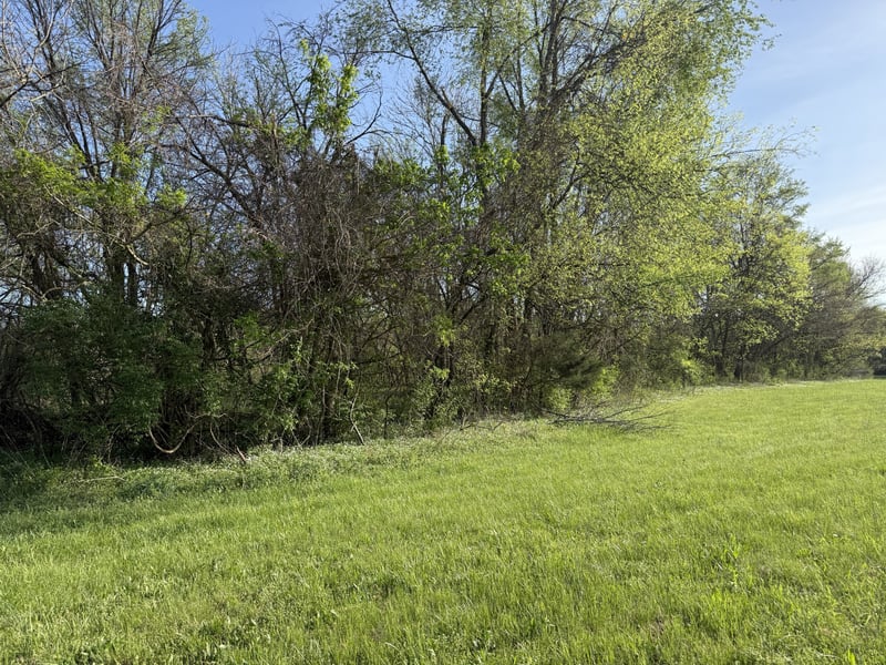 Hwy 31 E, Bethpage, TN 37022