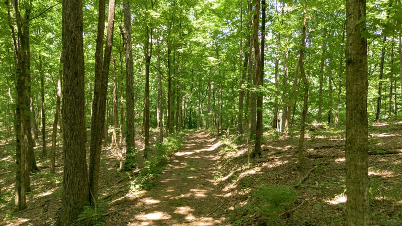 8218 Old Pond Creek Rd, Nashville, TN 37209