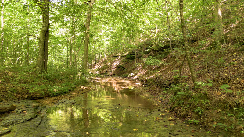 8218 Old Pond Creek Rd, Nashville, TN 37209