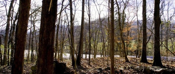Whites Creek Pike, Whites Creek, TN 37189