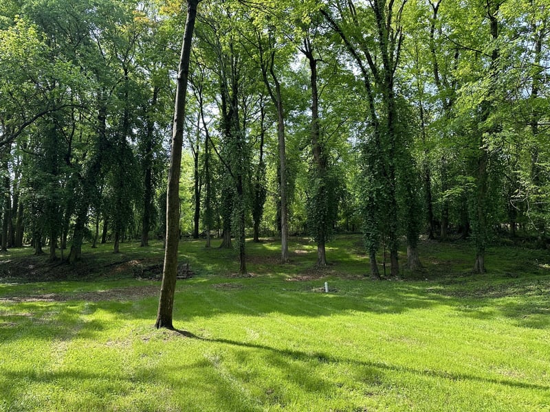 1421 Riverside Dr, Nashville, TN 37206