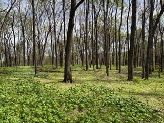 0 Center Star Rd, Columbia, TN 38401