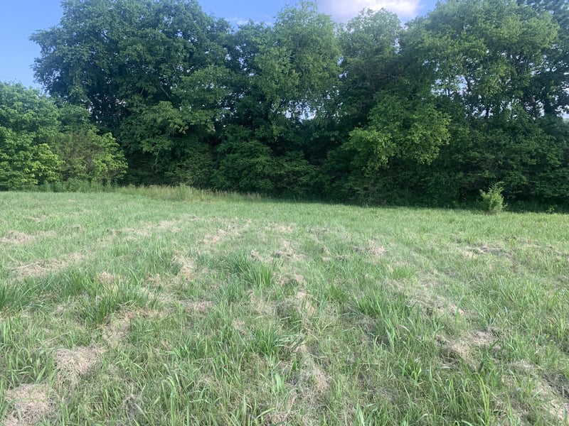 Johnson Hill Rd, Mount Pleasant, TN 38474