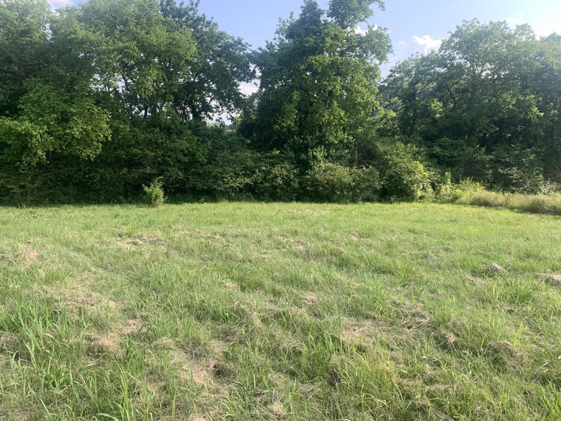 Johnson Hill Rd, Mount Pleasant, TN 38474