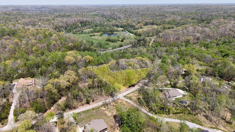 Old Highway 96 Lot 3, Burns, TN 37029