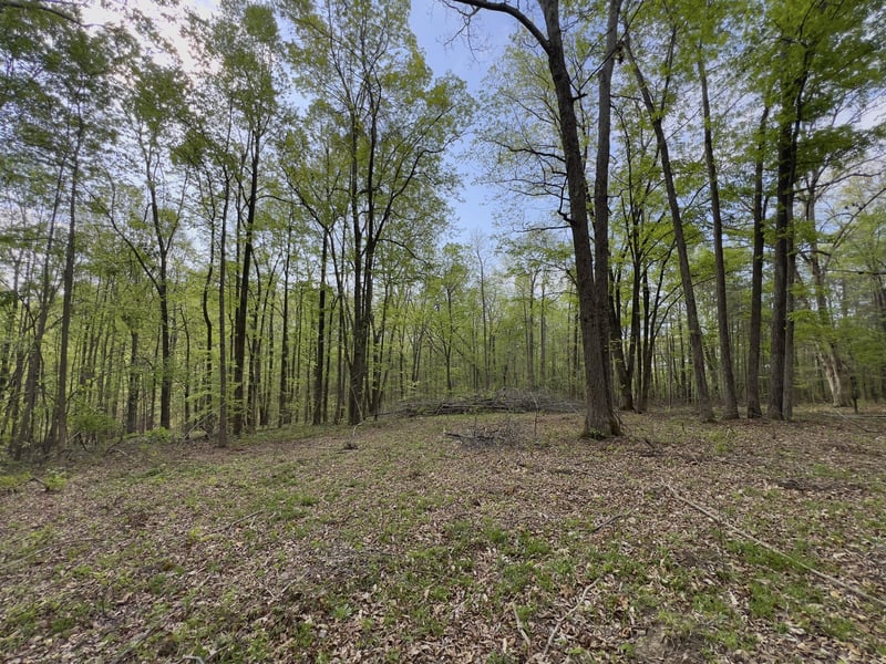 Valley Rd, Fairview, TN 37062