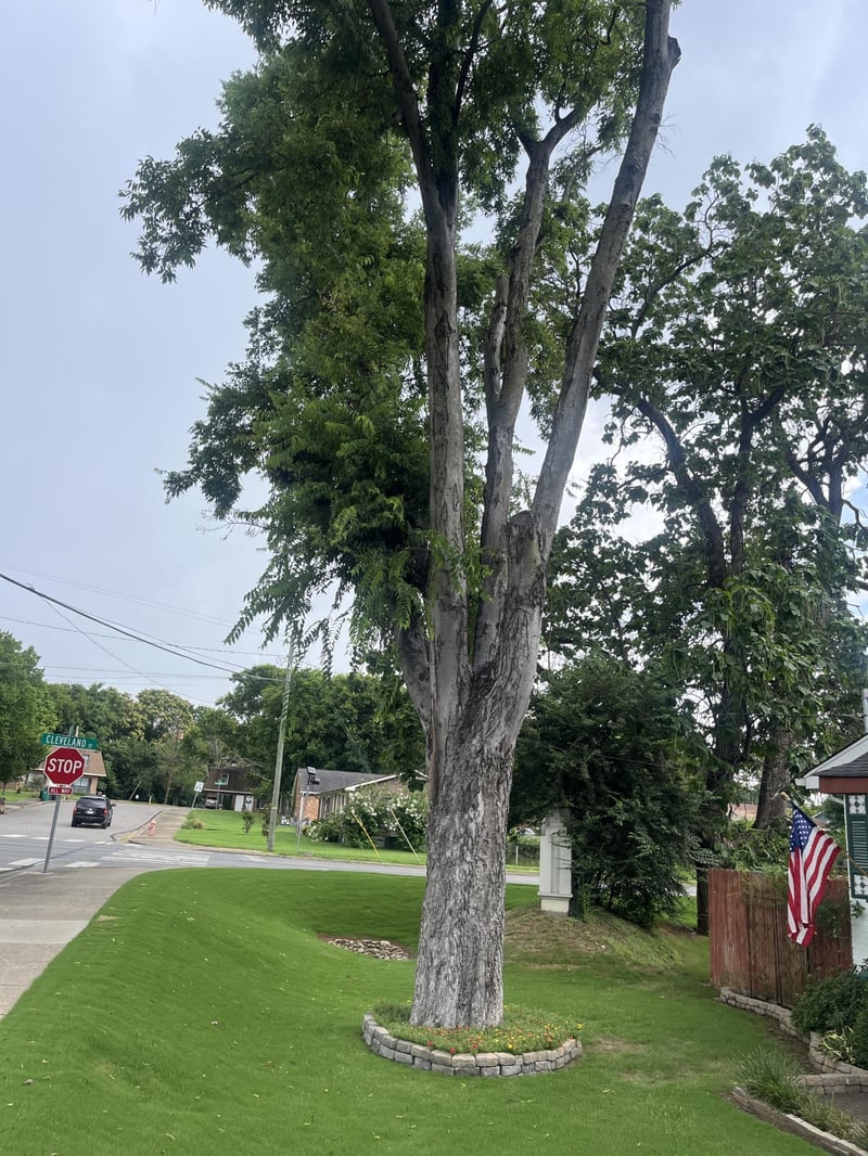 725 N 9th St, Nashville, TN 37206