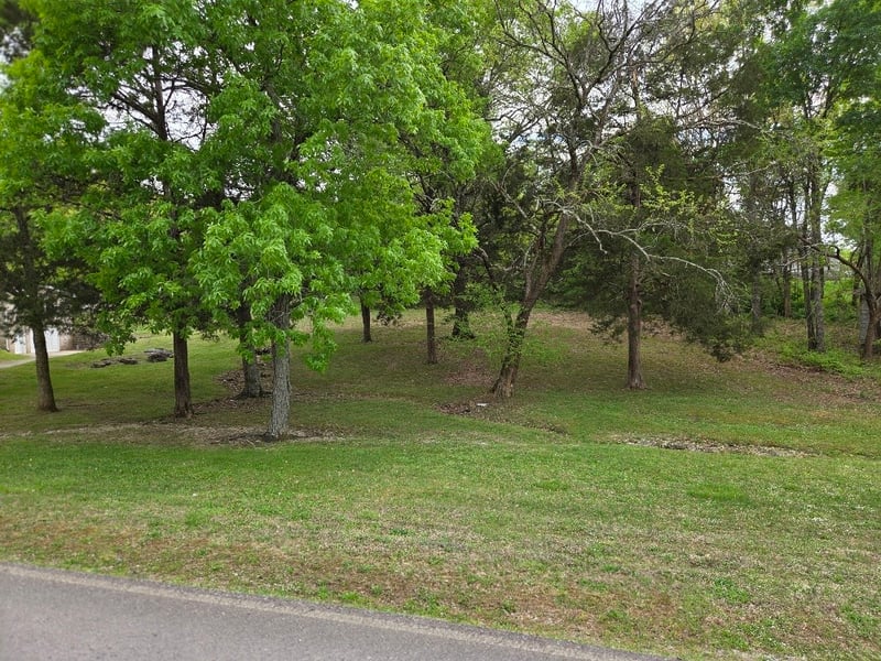 Mays Chapel Rd, Mount Juliet, TN 37122