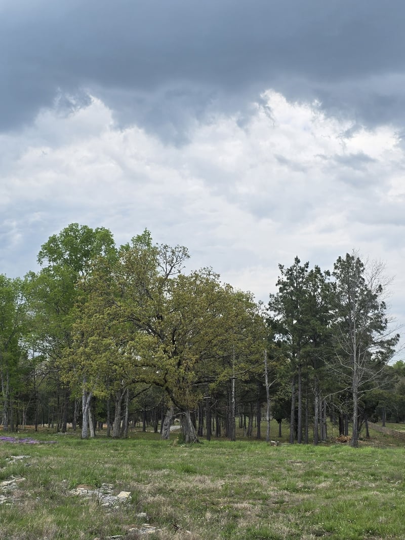 Kedron Rd, Spring Hill, TN 37174