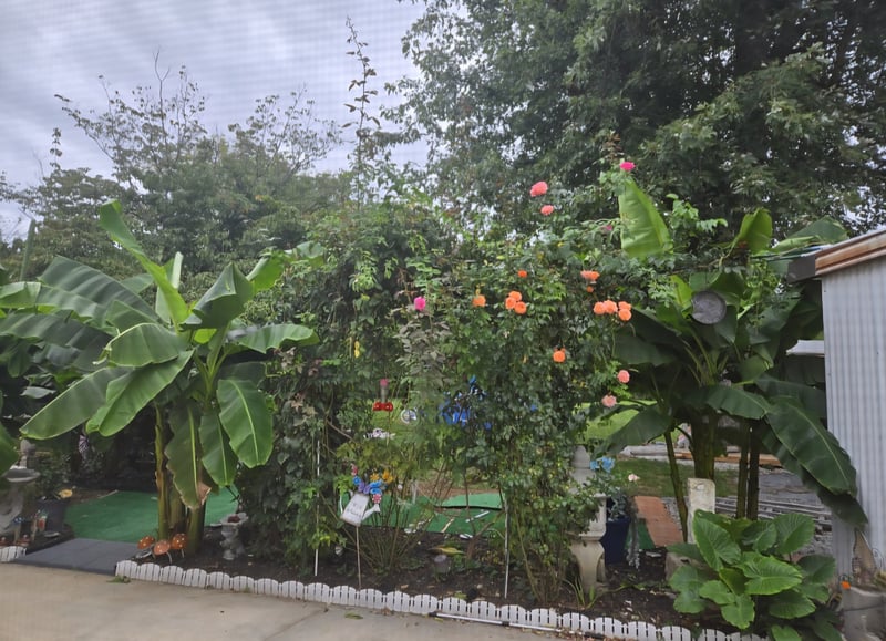 1834 Greerson Ct, Murfreesboro, TN 37130