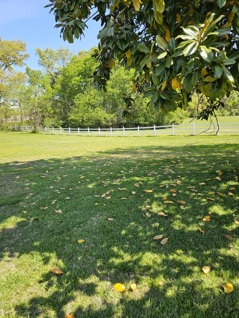 2520 Retreat Ct, Murfreesboro, TN 37129