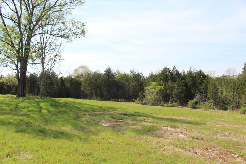 9651 Halls Hill Pike, Milton, TN 37118