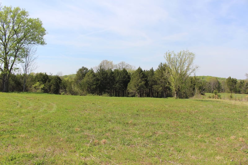9651 Halls Hill Pike, Milton, TN 37118