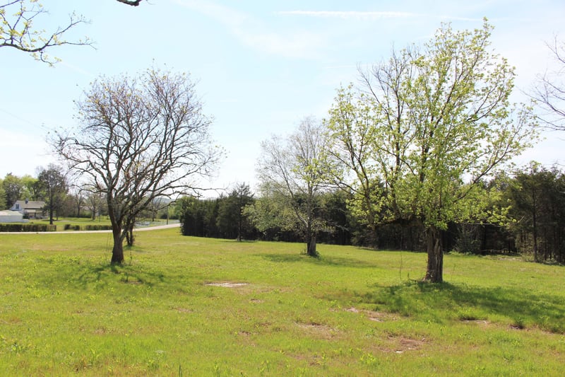 9651 Halls Hill Pike, Milton, TN 37118