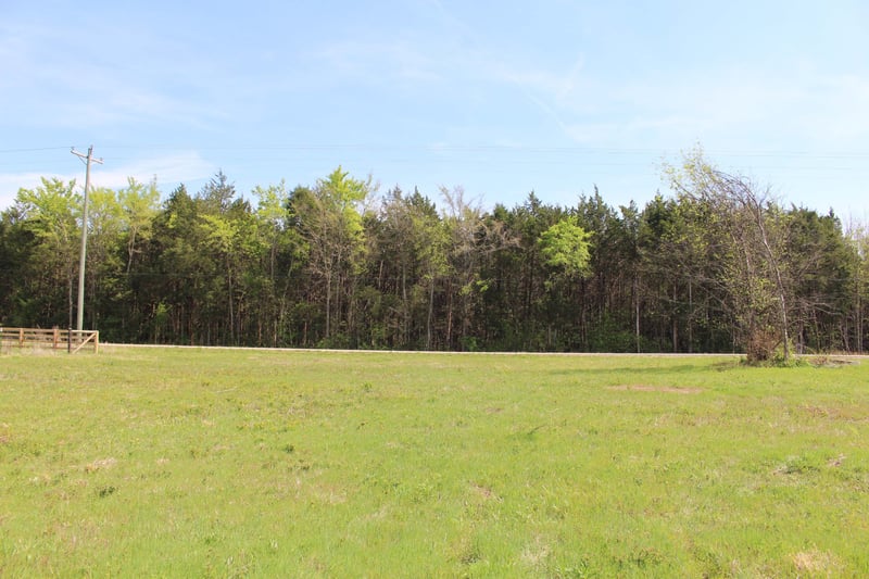 9651 Halls Hill Pike, Milton, TN 37118