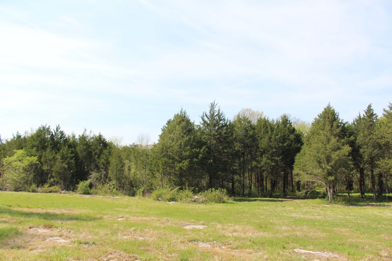 9651 Halls Hill Pike, Milton, TN 37118