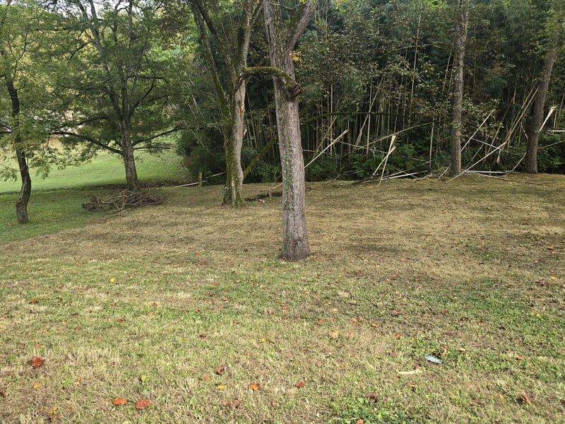 267 Graylynn Dr, Nashville, TN 37214