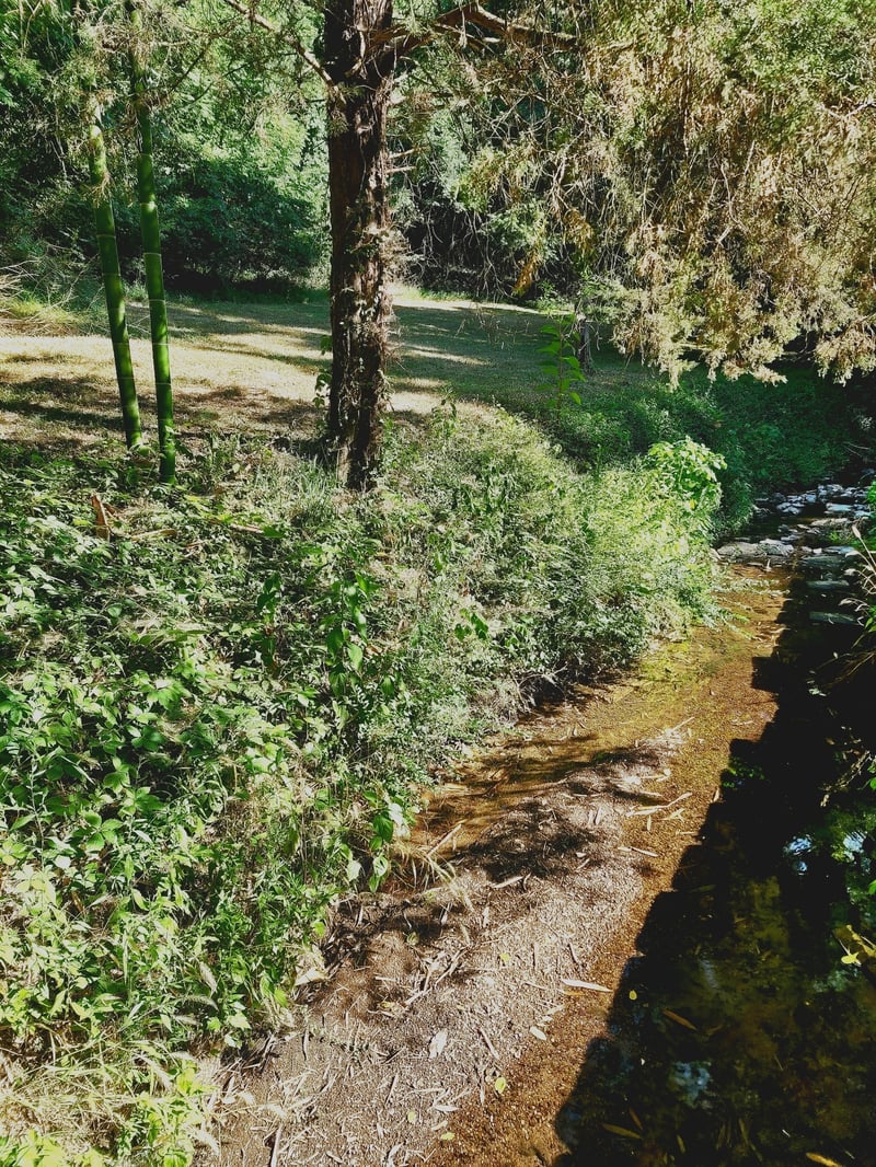 267 Graylynn Dr, Nashville, TN 37214