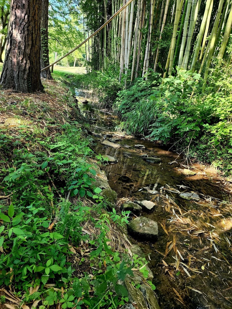 267 Graylynn Dr, Nashville, TN 37214