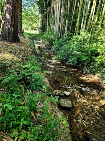 267 Graylynn Dr, Nashville, TN 37214