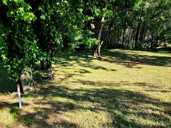 267 Graylynn Dr, Nashville, TN 37214