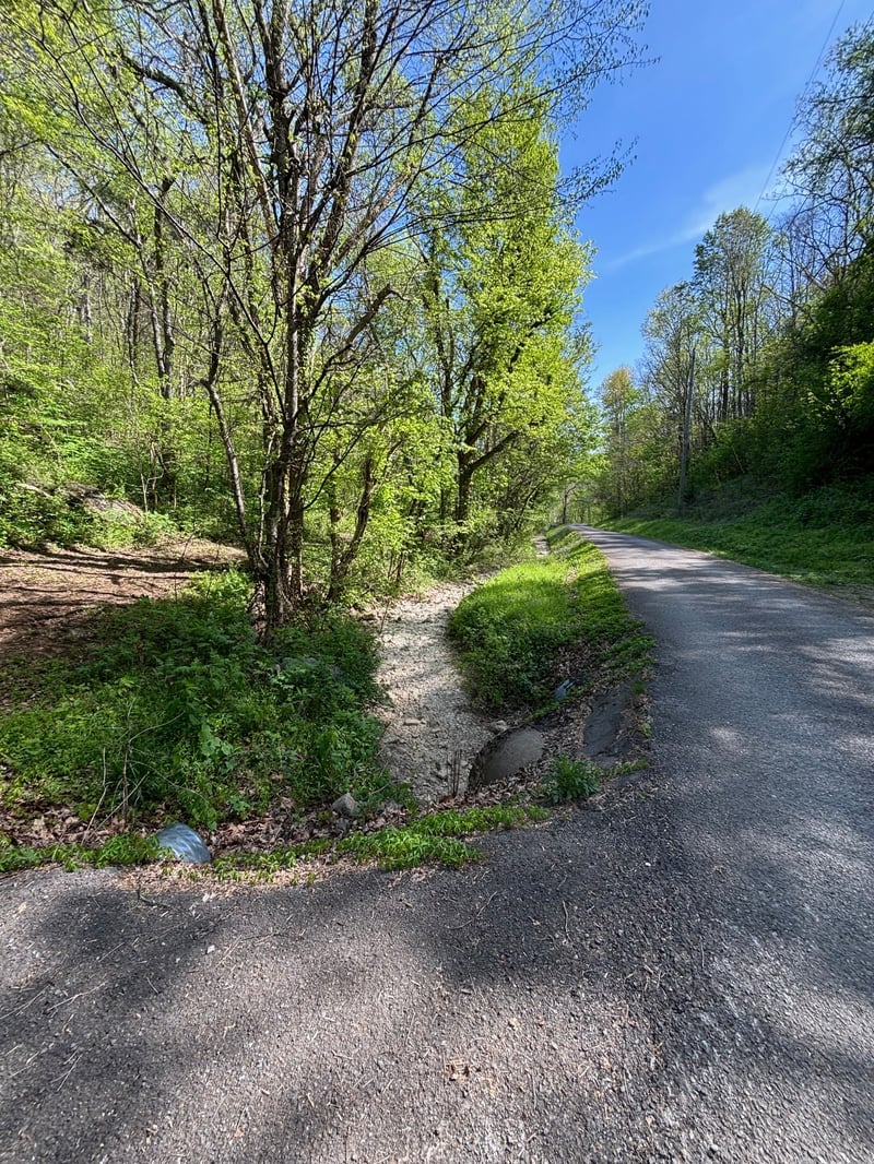 7792 Burns Rd, Christiana, TN 37037