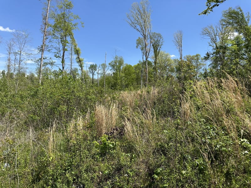 0 Murrell Rd Lot 1, Dickson, TN 37055