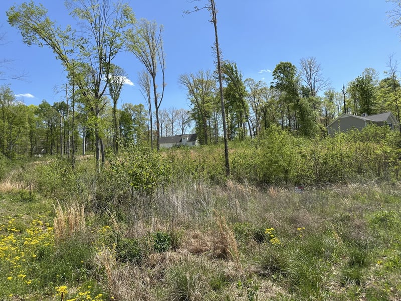 0 Murrell Rd Lot 1, Dickson, TN 37055