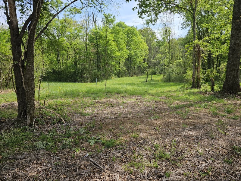 Scottish Dr Lot 8, Murfreesboro, TN 37128