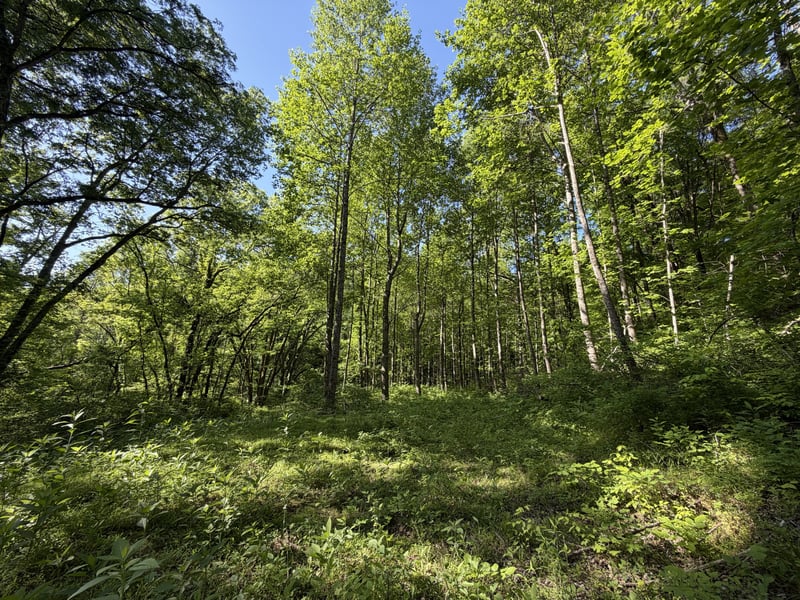 5073 Jones Valley Rd, Williamsport, TN 38487