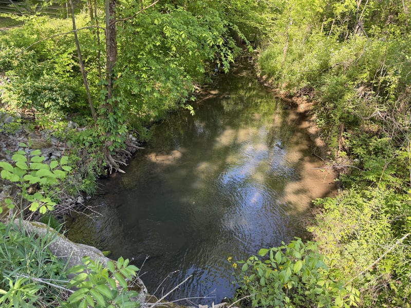 5073 Jones Valley Rd, Williamsport, TN 38487