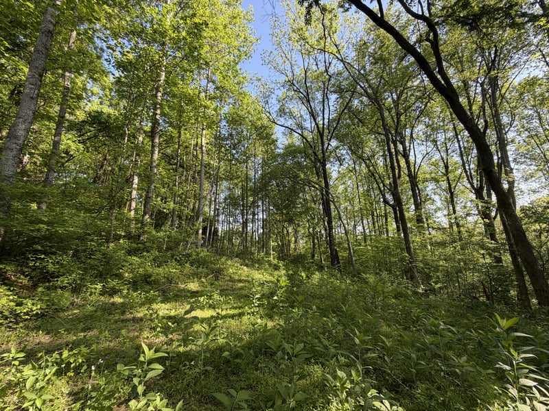 5073 Jones Valley Rd, Williamsport, TN 38487