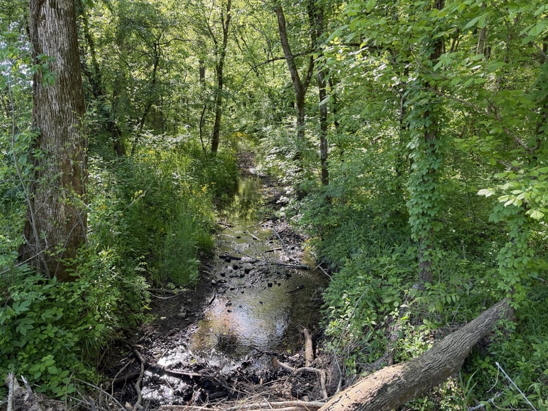 5073 Jones Valley Rd, Williamsport, TN 38487