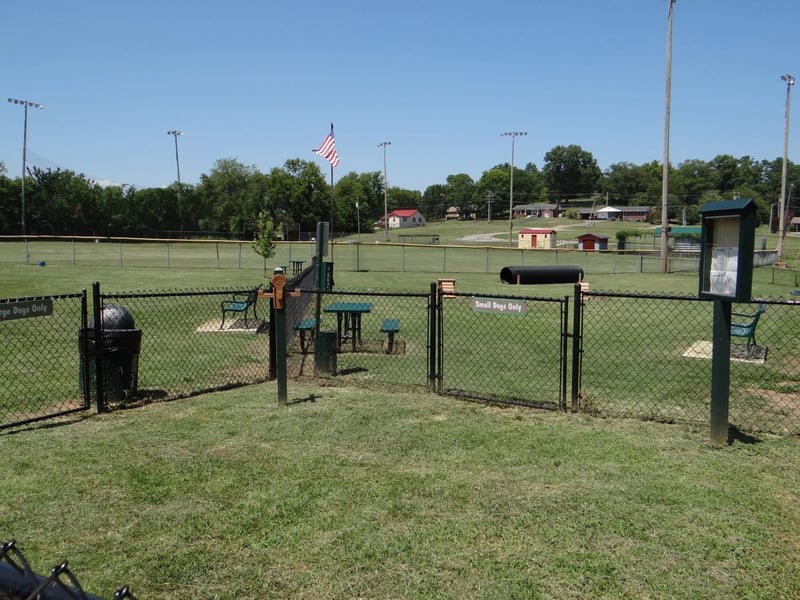 604 Sun Bear Ln, Mount Pleasant, TN 38474