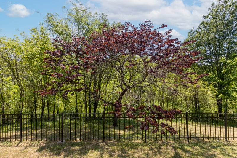 1545 Nathan Ct, Murfreesboro, TN 37130