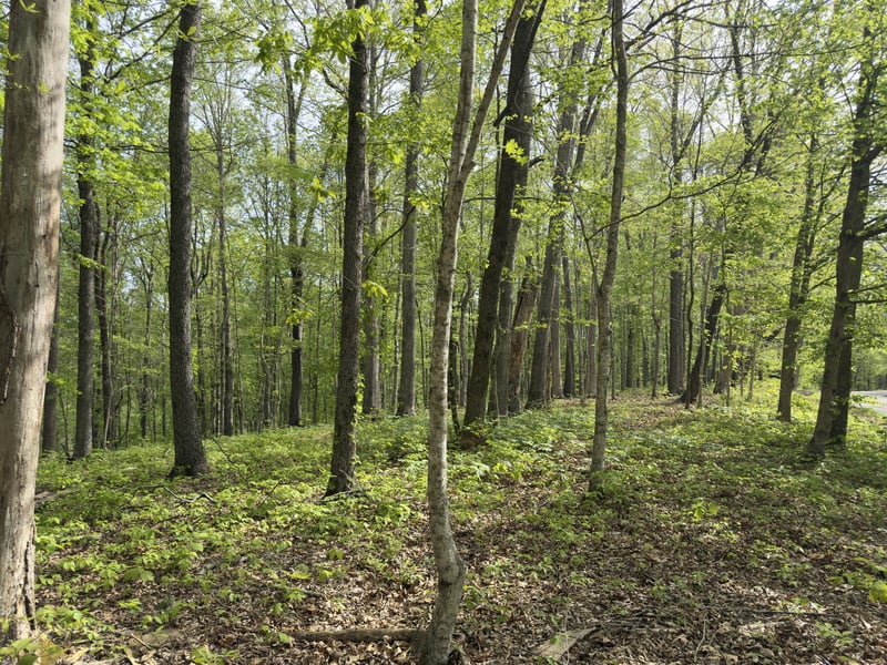 2 Greenbrier Rd, Franklin, TN 37064