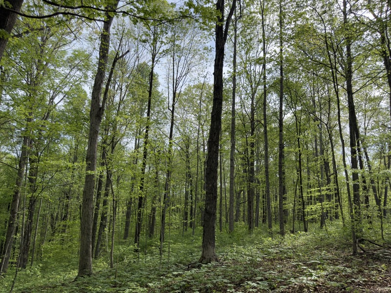 2 Greenbrier Rd, Franklin, TN 37064