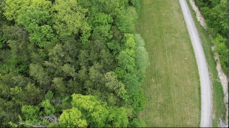 Hackett Hollow Ln Lot 2, Pleasant Shade, TN 37145
