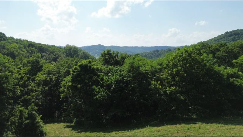 Hackett Hollow Ln Lot 3, Pleasant Shade, TN 37145