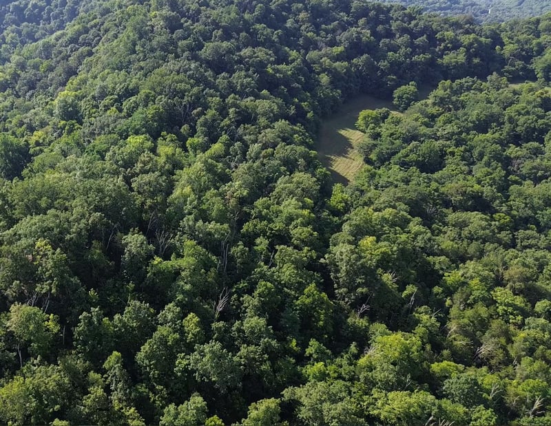 Hackett Hollow Ln Lot 3, Pleasant Shade, TN 37145