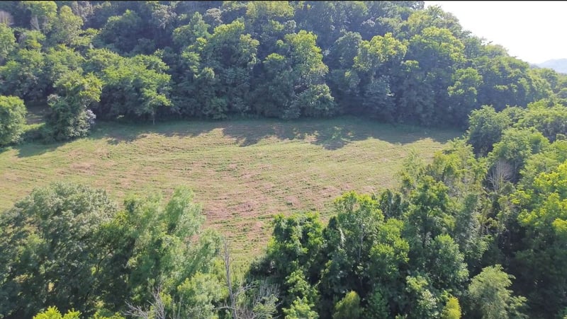 Hackett Hollow Ln Lot 3, Pleasant Shade, TN 37145