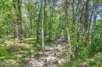 4428 Nickel Trce, Murfreesboro, TN 37128