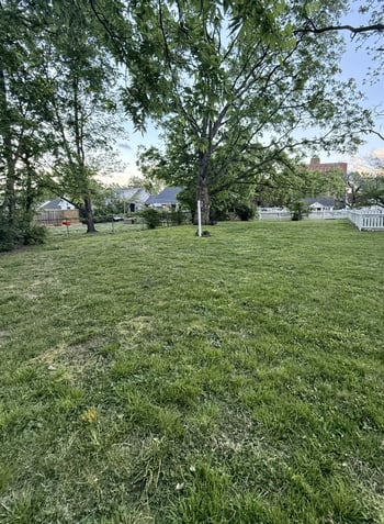 Radnor St, Nashville, TN 37211