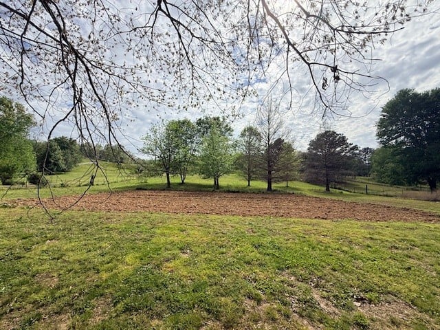 Highway 41a Lot 10, Pleasant View, TN 37146