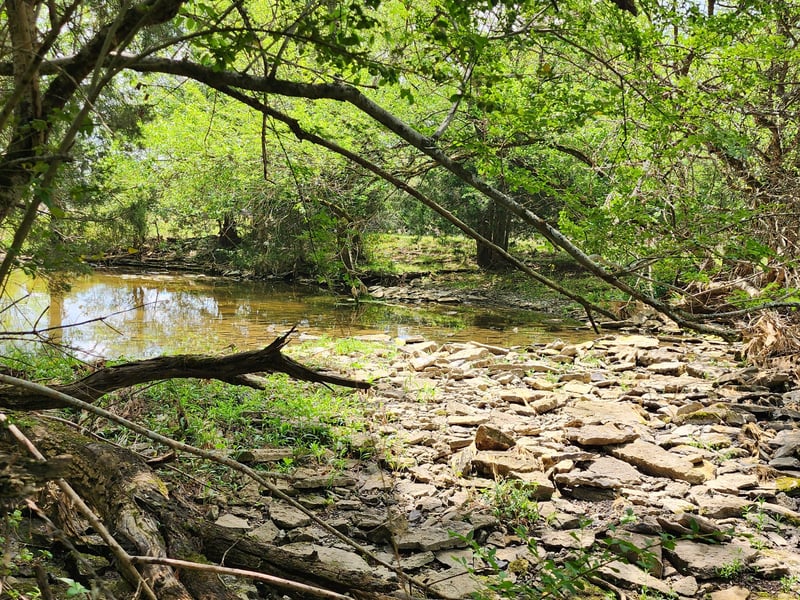 Murray Kittrell Rd Lot 11.63, Readyville, TN 37149