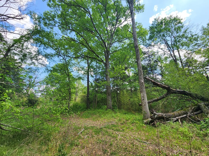 Murray Kittrell Rd Lot 11.63, Readyville, TN 37149