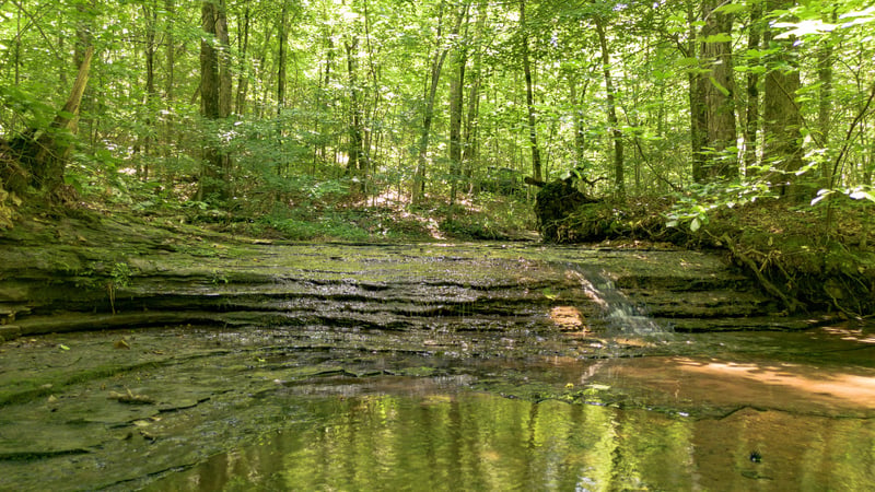 8234 Old Pond Creek Rd, Pegram, TN 37143