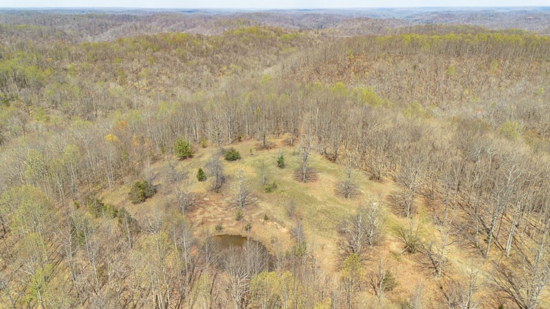 8234 Old Pond Creek Rd, Pegram, TN 37143