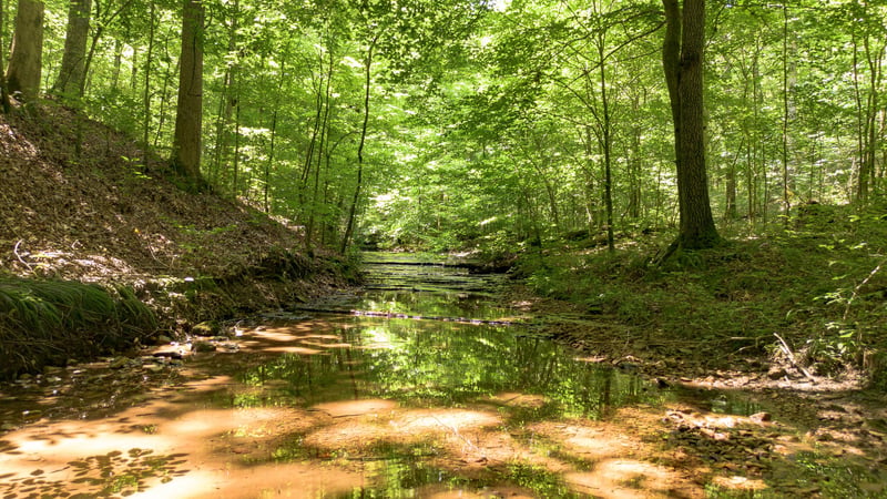 8234 Old Pond Creek Rd, Pegram, TN 37143